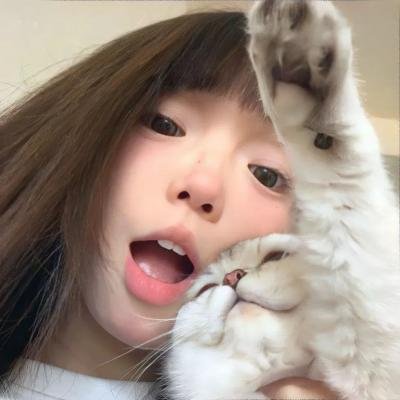 两条牛仔龙